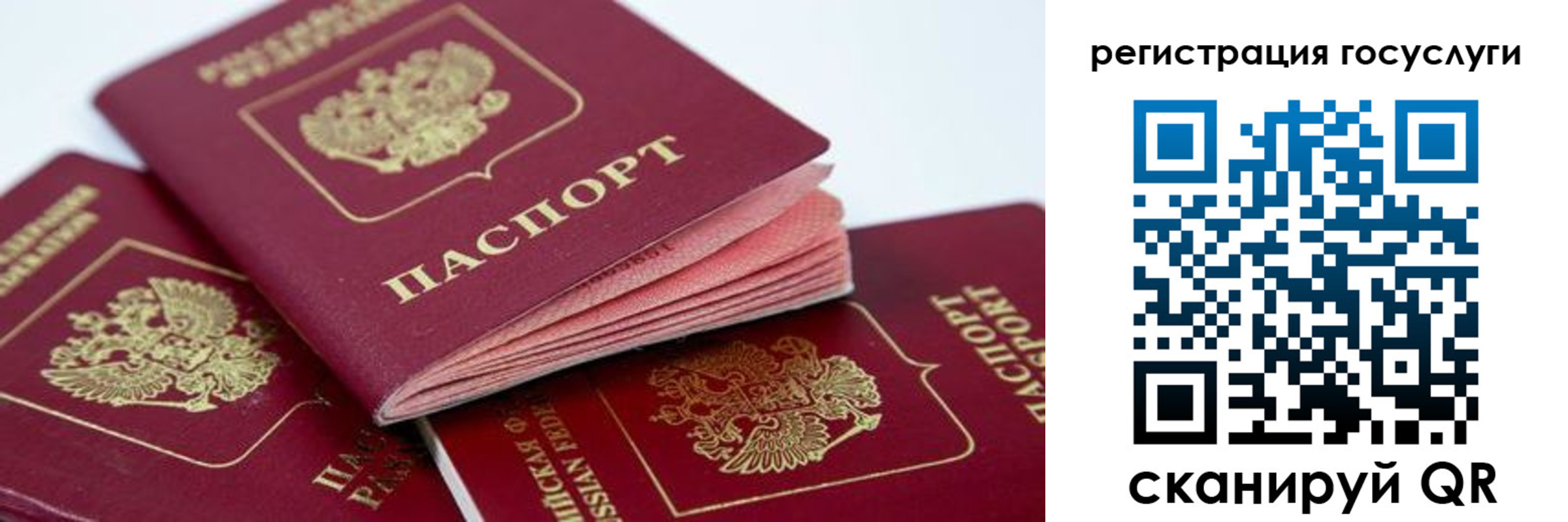 прописка в квартире в Североморске
